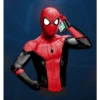Spidermanfarhome 12