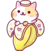 Cats Foods 8