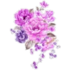 цветы 6