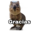 Gracias