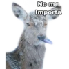 No me
Importa