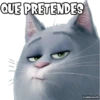 QUE PRETENDES
haddderbonilla