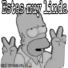 Homero sarcástico 11