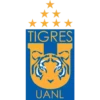 Liga MX 11
