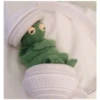 Kermit the Frog (pics) 5