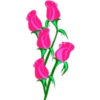 цветы 11