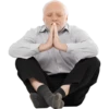 Hide the pain (Harold) 14