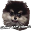 Yeontan 7