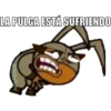 LA PULGA ESTÁ SUFRIENDO