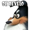 SE REVELO
haddderbonilla