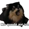 Yeontan 8