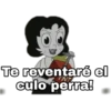 Te reventaré el
culo perra!
