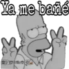 Homero sarcástico 13
