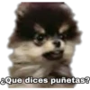 Yeontan 9