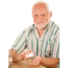 Hide the pain (Harold) 15