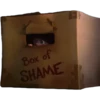 Bоx of
SHAME