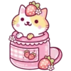 Cats Foods 16