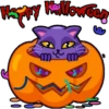 Witch Cat 6