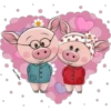 Cute Pig 11