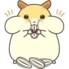 //
\/