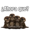 &Ahora que?
eZambranoSticker