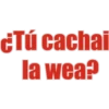 Frases Chile 11