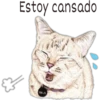 Estoy cansado
NALA