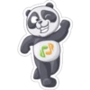 Panda 6
