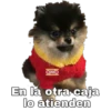Yeontan 11