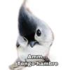 Amm...
Tengo hambre