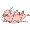 KAJAJAJAJAJJ no mms