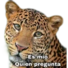 Es mío
Quien pregunta