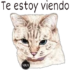 Te estoy viendo
NALA