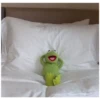 Kermit the Frog (pics) 12