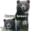 Bravo, bravo
Ya por fin
Lo dejo
