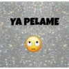YA PELAME