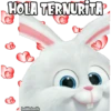 HOLA TERNURITA
B
haddderbonilla
DRE