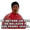 LE METERÉ UN PAR
DE BALAZOS A
ESE PERRO IDIOTA