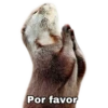 Por favor
