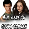 Crepusculo Saga 17