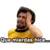 Que mierdas hice...