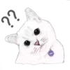 Cat Talk 11