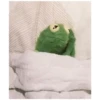 Kermit the Frog (pics) 16