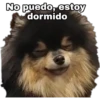Yeontan 13