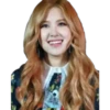 Black Pink Band 17