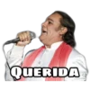 cantantes 1 15