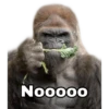Nooooo