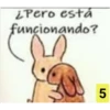 ¿Pero está
funcionando?
5