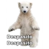 Despasito
Despasito