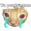 Ya perdoname